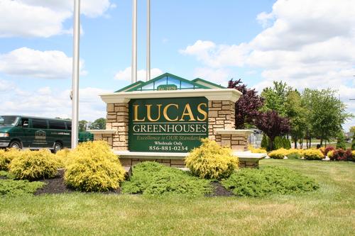 Lucas Greenhouses