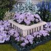 Ageratum 'Hawaii Shell Pink'