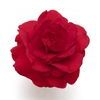 Double Impatiens 'Fiesta Ole Cherry'