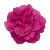 Double Impatiens 'Fiesta Purple'