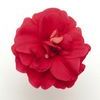 Double Impatiens 'Fiesta Salsa Red'