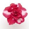 Double Impatiens 'Fiesta Sparkler Cherry'