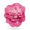 Double Impatiens 'Fiesta Stardust Pink'
