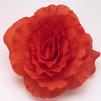 Tuberous Begonias 'Non Stop Deep Salmon'