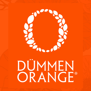 Dummen Dummen