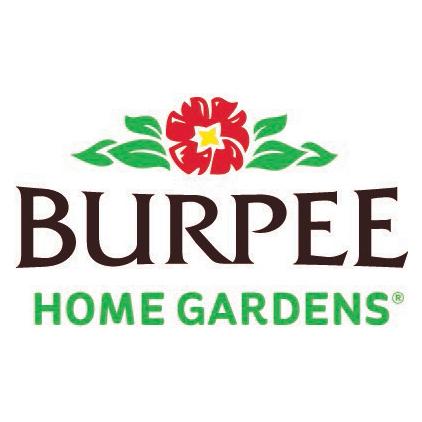 Burpee