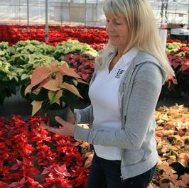 Louise with #4.5 Poinsettia