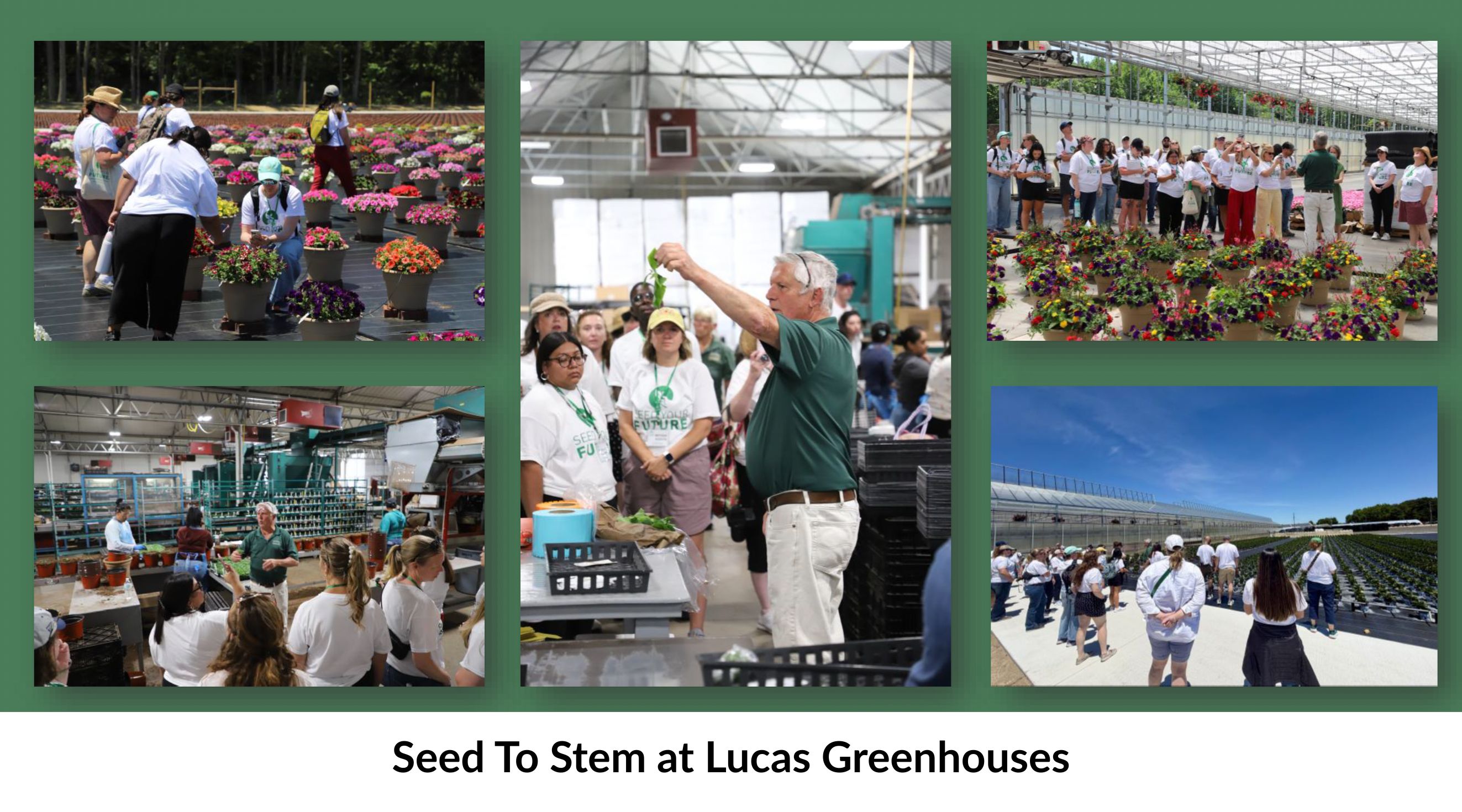 Growing Future Leaders Through Seed to STEM