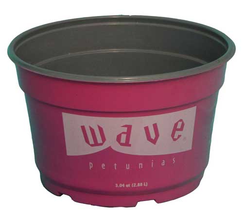 #8EasyWave