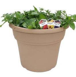PF #12 Terra Pot Combo