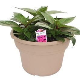 PF #8 TP Sonic Bright Pink