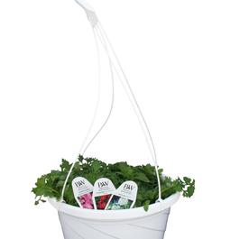 PF #12 HB Combo Basket