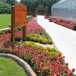 Trial Garden 1