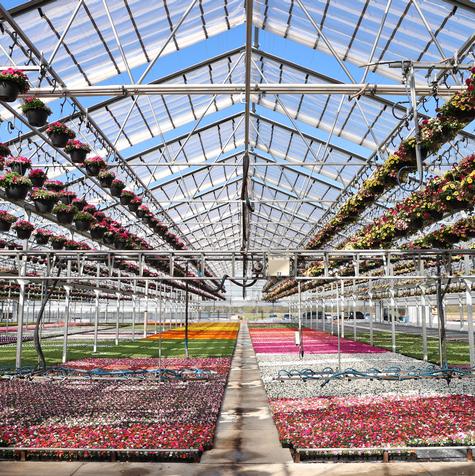 Around the Greenhouse