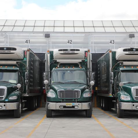 Lucas Box Trucks