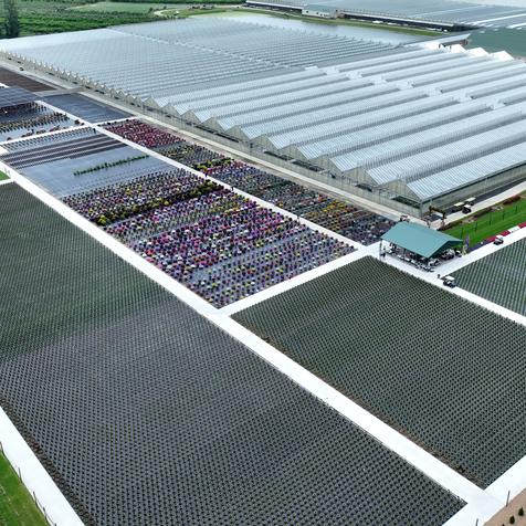 Updated Trial Garden and Surrounding Fields