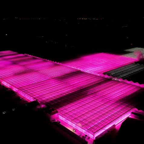 Grow Lights at Night