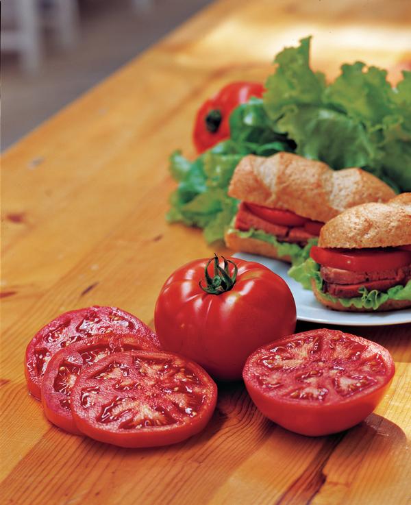 Burpee Tomato Steak Sandwich Hybrid Lucas Greenhouses