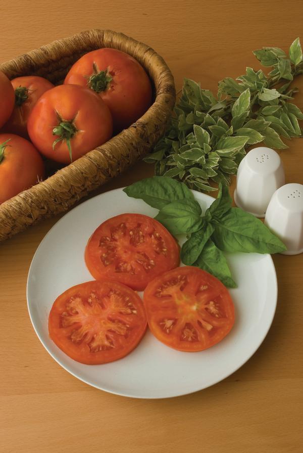 Weezie's Garden 'Tomato Supersteak Hybrid'