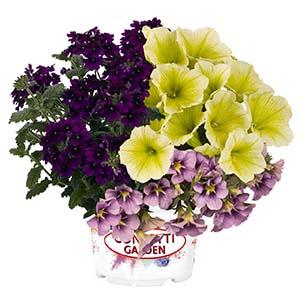 Confetti Garden 'Easter Basket'