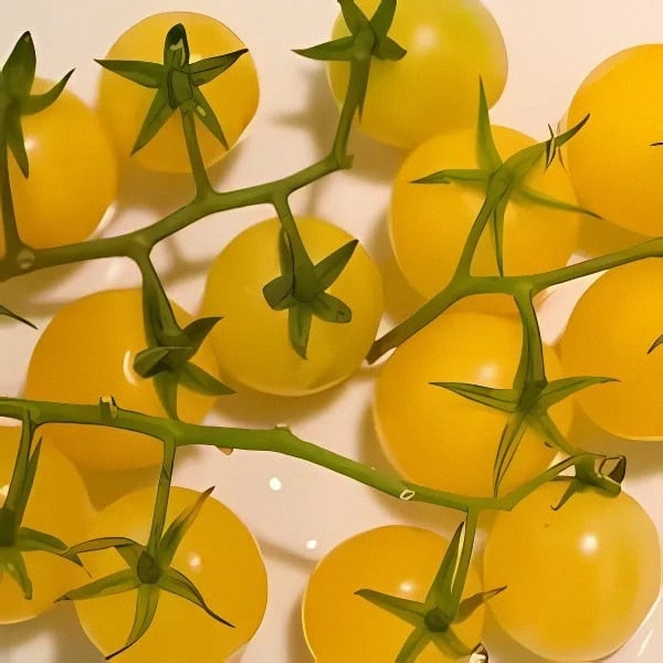 Weezie's Garden 'Tomato Lemon Cherry'