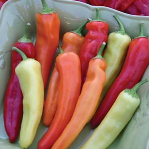 Peppers 'Hungarian Hot Wax'