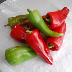 Vegetable 'Pepper Cubanelle'