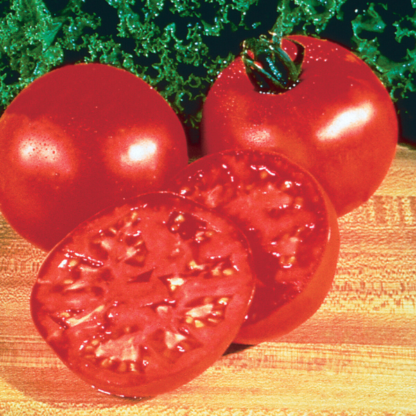 Weezie's Garden 'Tomato Burpee Big Boy®'