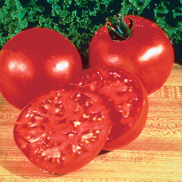 Tomato 'Burpee Big Boy®'