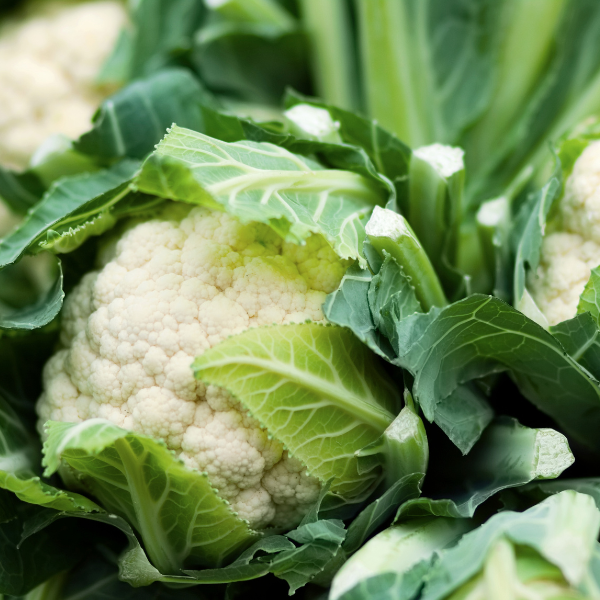 Vegetable Weezie's Cauliflower 'Snow Crown'