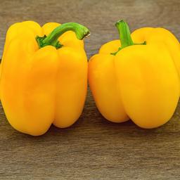 Peppers 'Golden California Wonder'