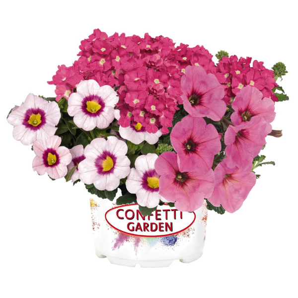 Confetti Garden 'Super Mom'