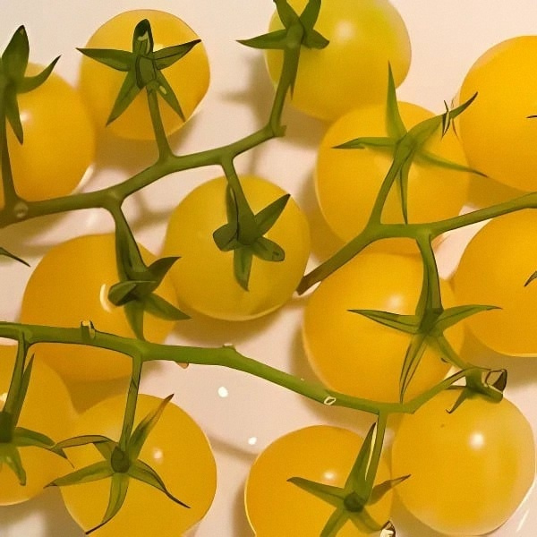 Tomato 'Lemon Cherry'