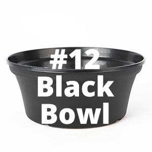 #12BlackBowl