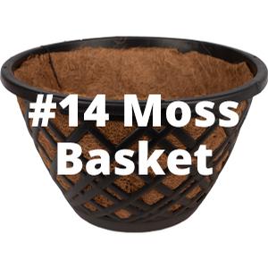 #14MossBasket_Square