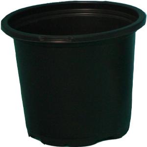 #4.5DarkGreen