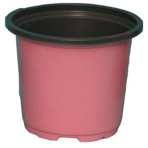 #4.5Pink