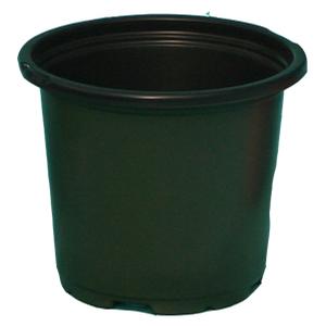 #4.5Green