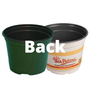 Back