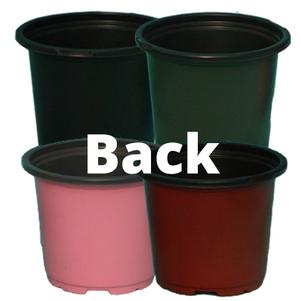 #4.5Back