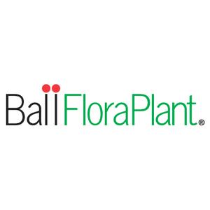 Ball Floral Plant