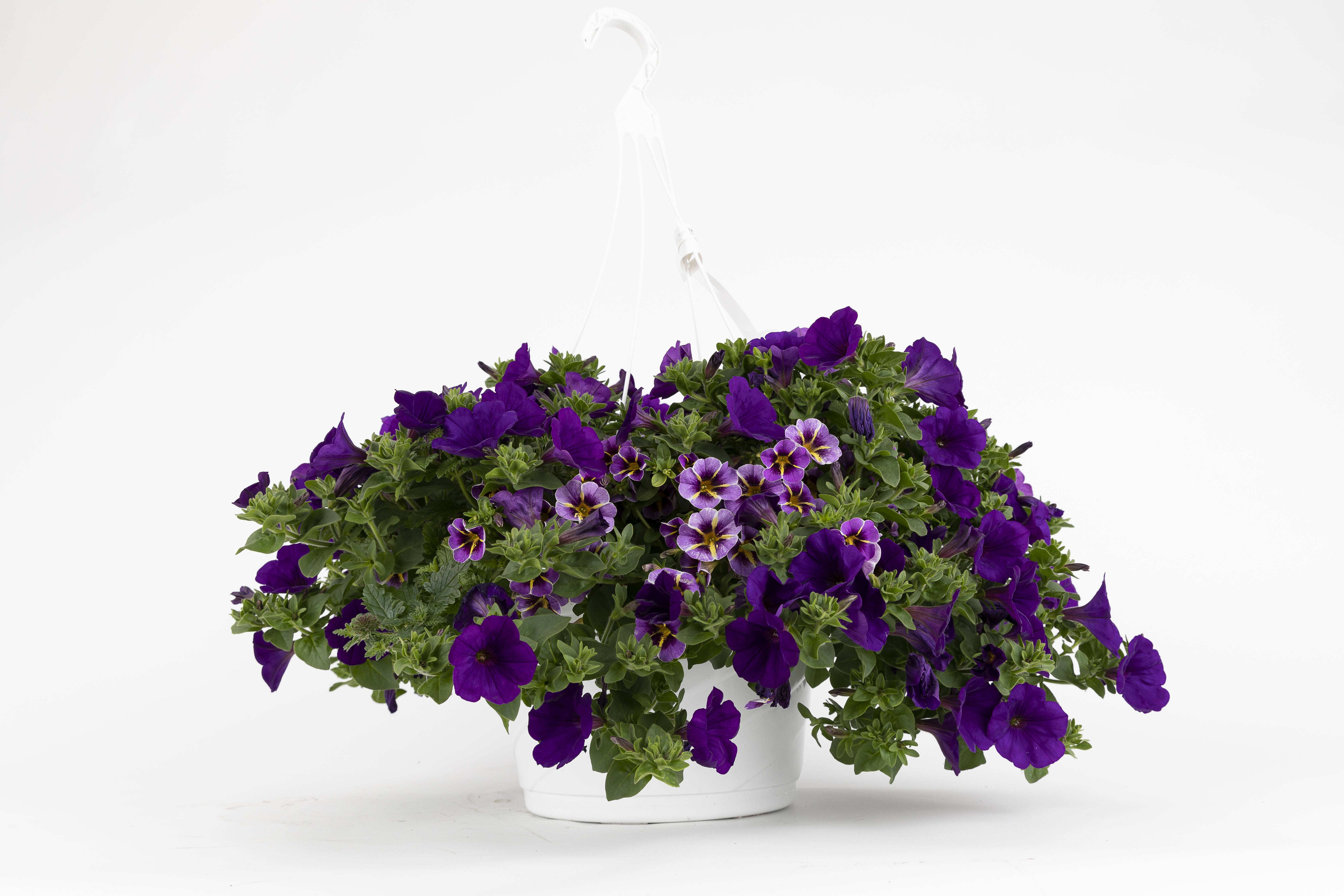 Spring Combo 'Combo #06'