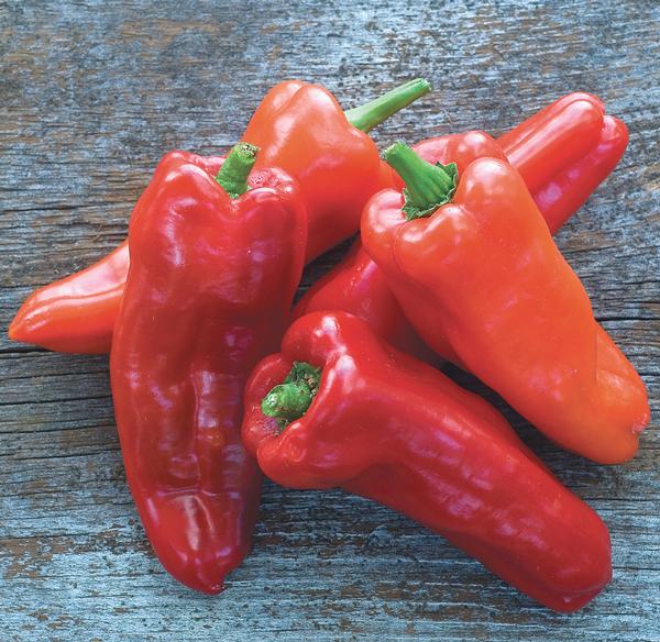 Burpee Peppers