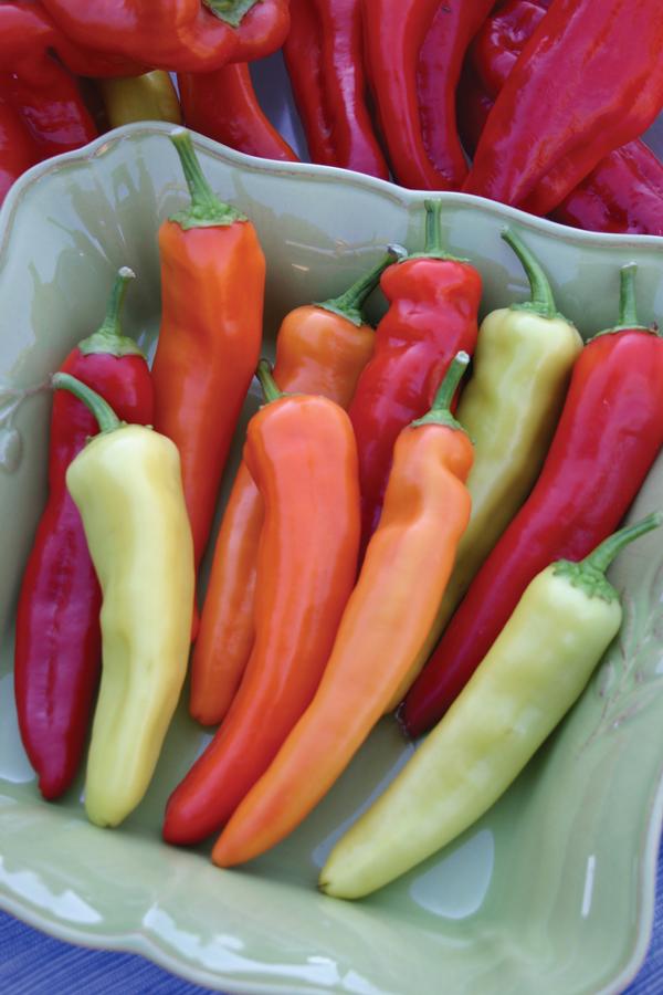 Peppers 'Hungarian Hot Wax'