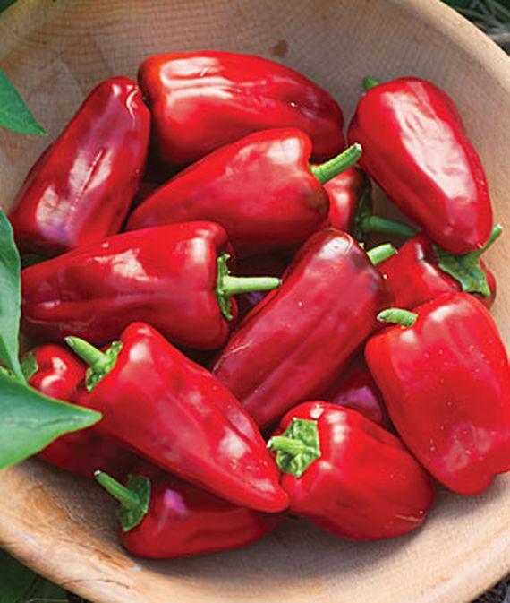 Burpee Peppers