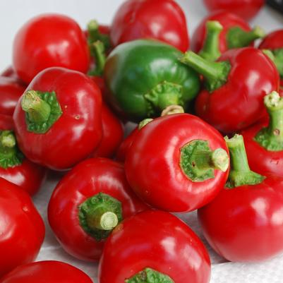 Peppers 'Red Cherry Hot'
