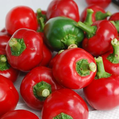 Vegetable 'Pepper Red Cherry Hot'