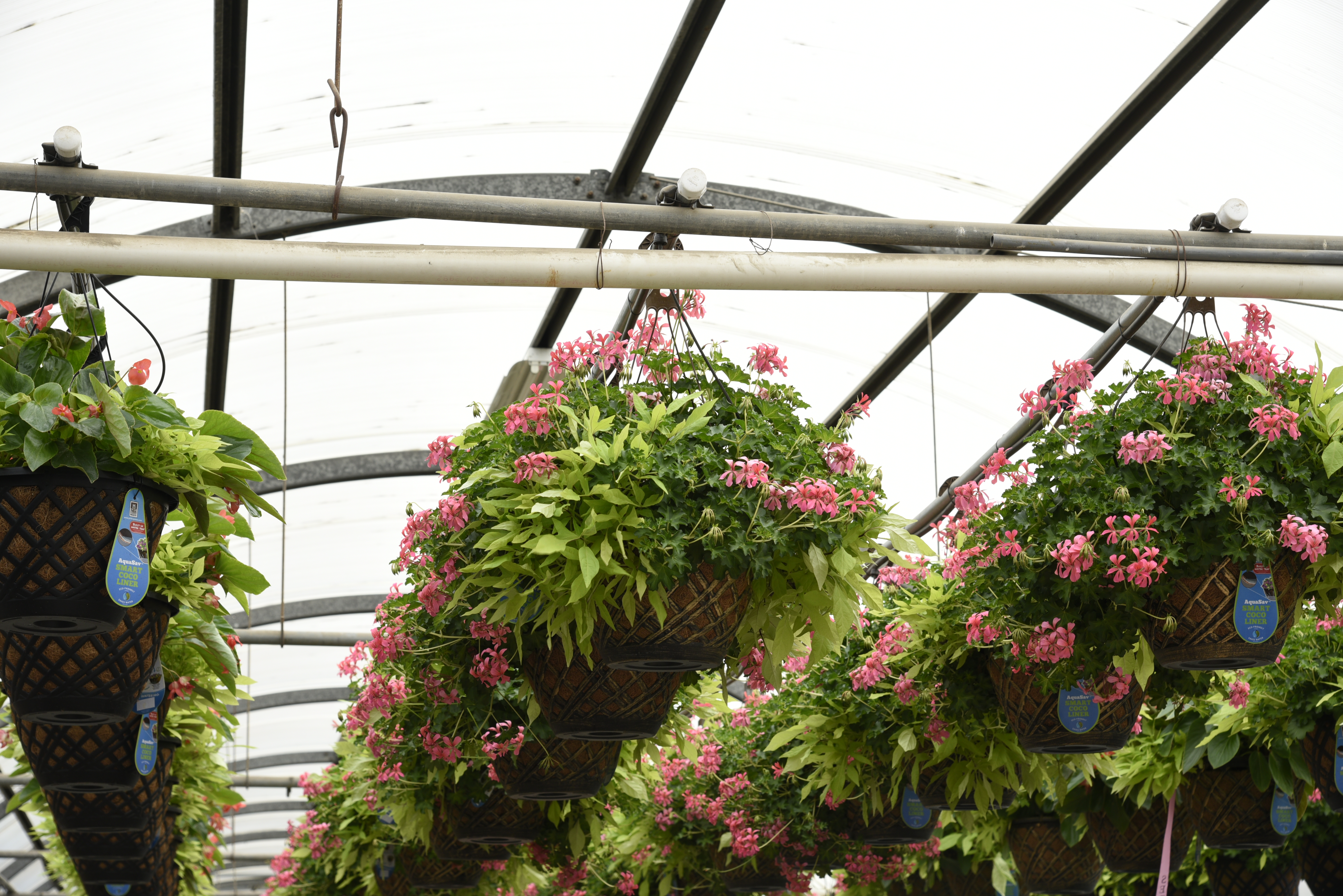 Spring Combo 'Shade Combo #1'