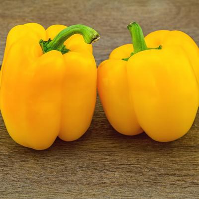 Vegetable 'Pepper Golden California Wonder'