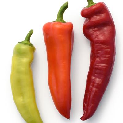 Vegetable 'Pepper Sweet Banana'